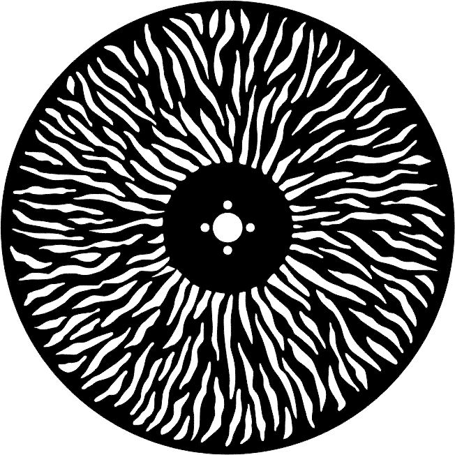 190120000004动感轮