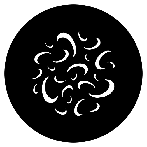 7 FINE 1400LB BSWF IP